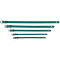Load image into Gallery viewer, Forest Green dog collars from The Modern Dog Company, featuring weather and odor resistance, available in five sizes.