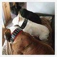 Load image into Gallery viewer, The "Stud" dog collar
