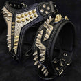 Load image into Gallery viewer, The ''Platinum'' collar