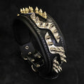 Load image into Gallery viewer, The ''Platinum'' collar