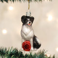 Load image into Gallery viewer, Border Collie Ornament - Southlake Paws