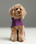 Load image into Gallery viewer, Capsule Raincoat - Purple