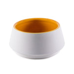 White and yellow ceramic dog bowl