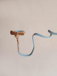 Load image into Gallery viewer, Lilco Braided-Leash | Seabreeze