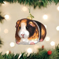 Load image into Gallery viewer, Guinea Pig Ornament - Southlake Paws