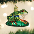 Load image into Gallery viewer, Red-eyed Tree Frog Ornament - Southlake Paws