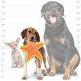 Load image into Gallery viewer, duraforce® Star