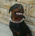 Load image into Gallery viewer, The "Steel" collar