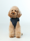 Load image into Gallery viewer, Reversible Dog Vest Jacket - Blue