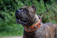 Load image into Gallery viewer, The "Eros" collar 2.5 inch wide Brown