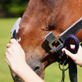 Load image into Gallery viewer, Southlake Paws Magna Halter ™ in Black, featuring a fleece noseband and leather breakaway, being fitted on a horse.