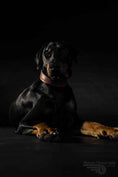 Load image into Gallery viewer, Plain "Style" collar brown