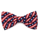 Bias Stars and Stripes Collar & Lead Collection
