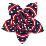 Bias Stars and Stripes Collar & Lead Collection