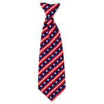 Bias Stars and Stripes Collar & Lead Collection