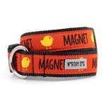 Chick Magnet Collar & Lead Collection
