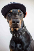 Load image into Gallery viewer, 'Black Giant'' collar