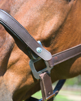 Load image into Gallery viewer, Magna Halter ™ in Black With Leather Breakaway