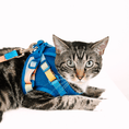 Load image into Gallery viewer, Atlas Cat Harness & Leash Set
