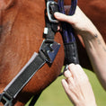 Load image into Gallery viewer, Southlake Paws Magna Halter™ in Black with fleece noseband and leather breakaway, being adjusted on a horse.