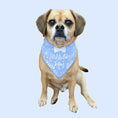 Load image into Gallery viewer, Birthday Bandana | Birthday Boy Dog Birthday | Birthday Dog Bandana | Happy Birthday Bandana