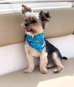 Shark Bandana | Shark Week | Nautical Bandana | Summer Bandana