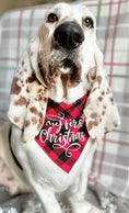 Load image into Gallery viewer, Christmas Dog Bandana | Holiday Bandana | My First Christmas