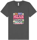 Load image into Gallery viewer, Spicy Nice Unisex V-Neck Shirt