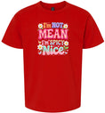 Load image into Gallery viewer, Spicy Nice Children's Gildan Soft Shirt