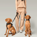 Load image into Gallery viewer, DOGISTRY City Collar - Rockstar