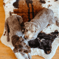 Load image into Gallery viewer, PupRug™ Animal Print Memory Foam Dog Bed - Brown Faux Cowhide
