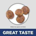 Hill's Science Diet Adult Small & Mini Chicken Meal & Rice Recipe Dry Dog Food Bag