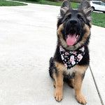 Floral Bandana Flower Dog Bandana | Spring Dog Bandana