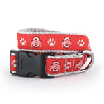 Ohio State Athletic O Paw Print Scarlet Collar & Lead Collection