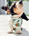 Load image into Gallery viewer, Floral Bandana, Flower Bandana, Dog Bandana by Rifle Paper Co | Spring Bandana, Orange Blossom
