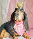 Load image into Gallery viewer, Birthday Girl Dog Birthday | Birthday Dog Bandana | Happy Birthday Bandana | Caps - Southlake Paws