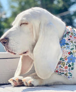 Floral Bandana, Flower Bandana, Tie Dog Bandana by Rifle Paper Co | Spring Bandana