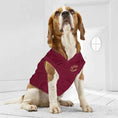 Load image into Gallery viewer, Cleveland Cavaliers NBA Dog Jersey - Official Basketball Pet Fan Apparel