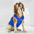 Load image into Gallery viewer, New York Knicks NBA Dog Jersey - Official Basketball Pet Fan Apparel