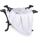 Paris Dog Blanket Collection Ivory