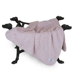 Paris Dog Blanket Collection Rosewater