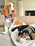 Load image into Gallery viewer, Plaid Dog Bandana | Luxe Flannel dog bandana is Reversible | Christmas Bandana Gift