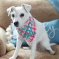 Load image into Gallery viewer, Fall, Winter Plaid Dog Bandana | Luxe Flannel dog bandana is Reversible | Mama's Girl - Southlake Paws