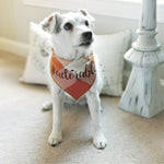 Plaid Dog Bandana | Luxe Flannel dog bandana is Reversible | #Adorable