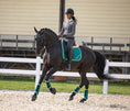 Load image into Gallery viewer, Teal Saddle Pad
