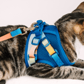 Load image into Gallery viewer, Atlas Cat Harness & Leash Set