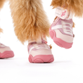 Load image into Gallery viewer, The Kai- Dog Sneaker