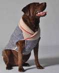 Load image into Gallery viewer, Spencer Dog Sweater