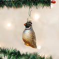 Load image into Gallery viewer, Partridge Ornament - Southlake Paws