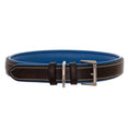 Load image into Gallery viewer, ExionPro Fancy Stitched Padded Leather Dog Collar - Blue Padding